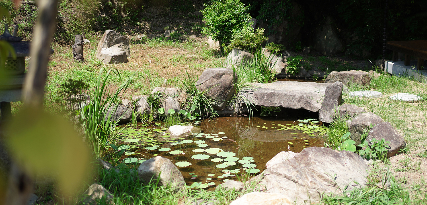 SETOUCHI MINKA featuring NATURE 瀬戸内の民家、自然素材の家。