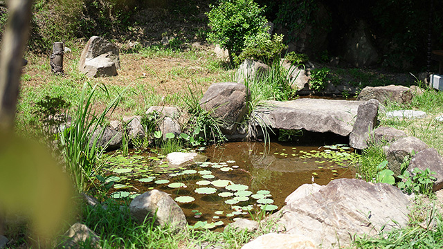 SETOUCHI MINKA featuring NATURE 瀬戸内の民家、自然素材の家。